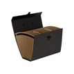 0043859654512-Fellowes Bankers Box - Valisette Trieur Accordéon Noir 19 compartiments -Angle gauche-0