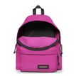 5400806663860-EASTPAK Padded Pak'r - Sac à dos - 40 cm - Tropical pink-P_400002170_2-1