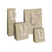 5033601524717-Clairefontaine Eurowrap - Sac cadeau bouteille - 12,7 cm x 9 cm x 35,5 cm - art deco-P_400002947_1-0