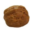 8058093948718-Legami - Gomme noix-P_400003591_1-0
