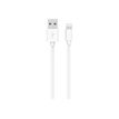 3571211433590-BigBen WOW - câble de charge et de synchronisation USB/USB Lightning - 2m-P_400003934_1-0