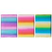 3664447102146-Agenda sous jaquette Rainbow - 1 jour par page - 13 x 18 cm - 3 décors au choix - Oberthu-P_400006207_1-0