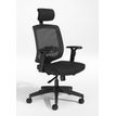 3760388580255-Fauteuil de bureau MALICE avec têtière - accoudoirs réglables - noir--0