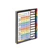 3135259991674-Viquel Rainbow Class - Trieur extensible 12 positions-P_400007513_1-0