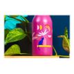 3700572754987-Kiub Chats Pop - Bouteille isotherme 350 ml - blanc coco-P_400007716_2-1