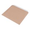 0404000087410-25 Pochettes d'emballage cartonnées - 25 x 36 cm - kraft - Antalis-P_400008741_1-0