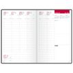 3147280219771-Agenda Oxford Senso - 1 semaine sur 2 pages - 16 x 24 cm - bleu canard - Hamelin--1