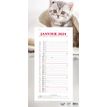 Quo Vadis Animaux - Calendrier bloc mensuel - 16 x 33,5 cm