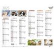 Quo Vadis - Calendrier Fantaisie 6 mois par face - 43 x 33,5 cm - animaux
