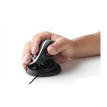 8717399998130-Bakker Elkhuizen Oyster - souris sans fil ergonomique - grande taille-P_400009819_1-5