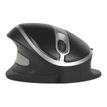 8717399998130-Bakker Elkhuizen Oyster - souris sans fil ergonomique - grande taille-P_400009819_6-1