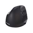 8717399997188-Bakker Elkhuizen Evoluent 4 - souris sans fil ergonomique pour droitier-P_400009833_2-0
