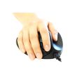 8717399994200-Bakker Elkhuizen Hippus - souris filaire ergonomique pour droitier - grande taille-P_400009858_1-0