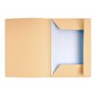 3288582350028-Exacompta Super 210 - 50 Chemises imprimées - 210 gr - bulle-P_400010867_2-1