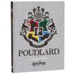 3661507516509-Cahier de texte Harry Potter - 15 x 21 cm - 2 décors au choix : Poudlard ou Gryffondor - Kid'Abord--1
