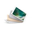 3701082962015-Apple iPad - 5éme génération - tablette 2017 reconditionnée - 32 Go - 9,7" - Wifi - Gris Sidéral --3