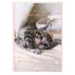3664447114804-Cahier de textes Chaton - 15,5 x 21,7 cm - Oberthur--0