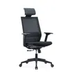 3700339918508-Fauteuil de bureau MAXIM - accoudoirs réglables - Appuie tête - noir--2
