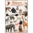 3592930015775-Bouchut - Poster pédagogique effaçable - 52 x 76 cm - Animaux sauvages--0