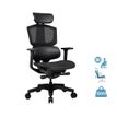 4710483774089-Fauteuil gamer ARGO One Black - accoudoirs réglables - appuie-tête intégré - noir--0