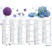 3664447151366-Mini calendrier illustré - 6 mois par face - 13,5 x 17,5 cm - différents modèles disponibles - Obert--2