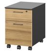 Caisson mobile JAZZ+ - Profondeur 60 cm - 2 tiroirs - monté - chêne du bocage