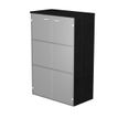 7331920002410-Bibliothèque mi-haute Trend - L80xP35xH120 cm - 2 portes en verre dépoli - imitation frêne noir--0