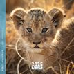 3494150160191-Calendrier mensuel 30x30 cm - 16 mois - Bébés animaux--0