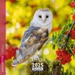 3494150160283-Calendrier mensuel 30x30 cm - 16 mois - Chouettes--0