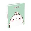 3135258004412-Classeur 2 anneaux - Dos 50 mm - A4 - Molang - Viquel--1
