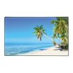 3135250997170-Sous-main Plage - 59,5 x 36,2 cm - Viquel--0