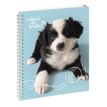 3660942087070-Cahier de textes à spirale Animaux - 17 x 22 cm - chiot balle - Exacompta--0
