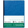 Exacompta - Piqûre comptable - 8 colonnes par page - 32 x 25 cm - 80 pages - bleu