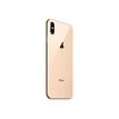 3701083040804-Apple iPhone XS Max - Smartphone reconditionné grade C (Etat correct) - 4G - 4/64 Go - or-Arrière-2
