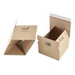 0404051105965-Antalis - Boîte postale d'expédition adhésive - 31 cm x 22,1 cm x 15,5 cm - kraft brun-P_405110596_1-0