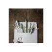4004675148049-Schneider Callissima - Stylo plume 1,1 mm - menthe-P_405113451_3-2