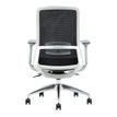 3701338802430-Fauteuil de bureau POLAR - accoudoirs réglables - appuie-tête en option - noir-P_405113807_4-3