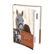3147280241000-Agenda Lifestyle - 1 jour par page - 12 x 17 cm - Mathilde & Sligo - Hamelin-P_405114342_1-0