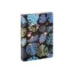 3135252218716-Viquel Tropical - Boîte de classement plastique - dos 45 mm - bleu ou noir-P_405115593_1-0