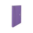 4049793075662-Esselte Colour'Breeze - Trieur à soufflet 5 positions - A4 - lavande translucide-P_405118908_4-0
