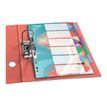 4049793076423-Esselte Colour'Breeze - Intercalaire 6 positions - A4 - polypropylène multicolore-P_405118922_3-1