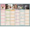 3592930026740-Bouchut Chats - Calendrier bancaire 6 mois par face - 32 x 42 cm--0