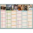 3592930026740-Bouchut Chats - Calendrier bancaire 6 mois par face - 32 x 42 cm--1