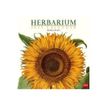 8054117623296-Calendrier mensuel Herbier - 18 x 18 cm - Legami-P_405121178_2-0