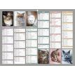 3592930026740-Bouchut Chats - Calendrier bancaire 6 mois par face - 32 x 42 cm-P_405121454_1-0