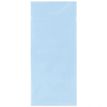 5033601868323-Clairefontaine - 6 feuilles de papier de soie - 50 x 70 cm - bleu ciel-P_405124619_2-1