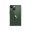 194253121534-Apple iPhone 13 mini - Smartphone - 5G - 256 Go - vert-P_405127863_5-3