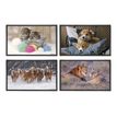 3135251306872-Viquel Fantaisie Animaux - Sous-main - 59,5 x 36,2 cm - PVC - disponible en différents co-P_405128742_1-0