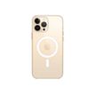 0194252781555-Apple - coque de protection avec MagSafe pour iPhone 13 Pro Max - transparent-P_405140063_3-2