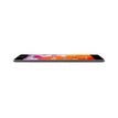 0745883797028-Belkin - protection d'écran - verre trempé pour iPad mini 5 (5e gen)-P_405140564_6-5